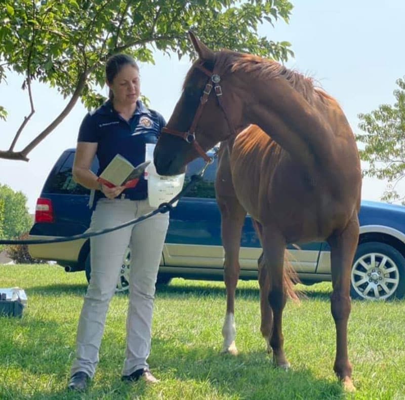 A woman, possibly a veterinarian, stands on grass holding a book and a rope attached to a brown horse beside her. A blue SUV and trees are in the background on a sunny day.