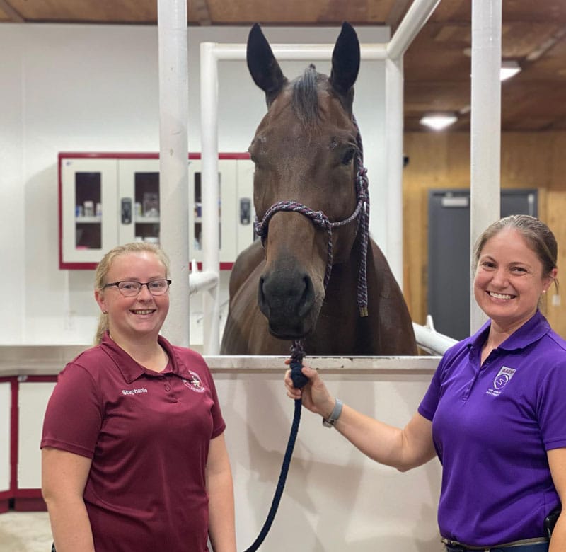 Two women stand on either side of a brown horse in a pet clinic, both smiling at the camera. One holds the horse's lead rope as it stands secured in a white examination area, highlighting their caring vet environment.
