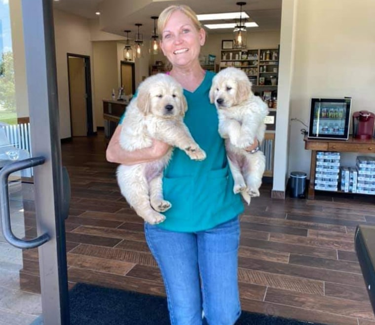A smiling woman in a teal shirt and jeans stands indoors at an animal hospital, holding two fluffy golden retriever puppies, one in each arm. The background shows a modern, well-lit room with wooden floors and shelves.
