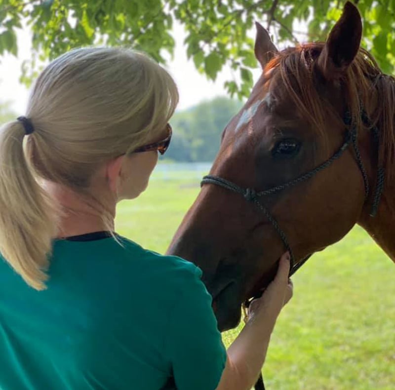 A woman with blonde hair in a ponytail and sunglasses, possibly a veterinarian, gently strokes a brown horse’s face under the shade of a tree in a grassy outdoor setting.