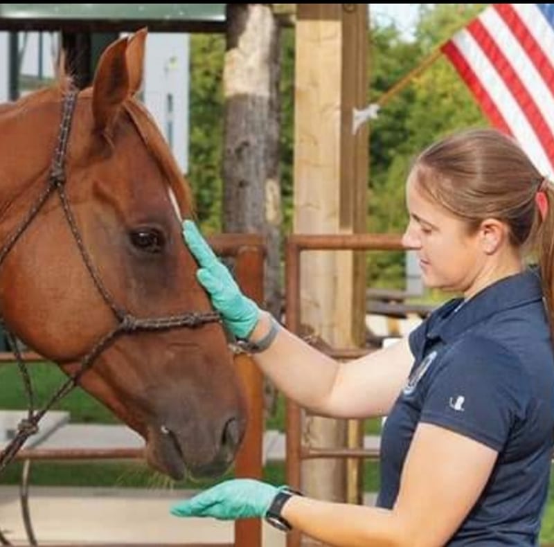 A veterinarian wearing green gloves gently touches a brown horse's face, with an American flag and trees visible in the background.