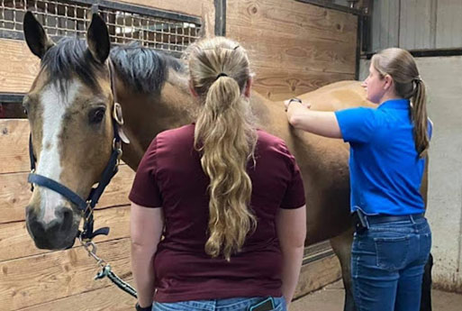 Two women stand beside a brown horse in a stable. One woman faces the camera while the other, possibly a veterinarian, examines or treats the horse's back as if performing a veterinary procedure.