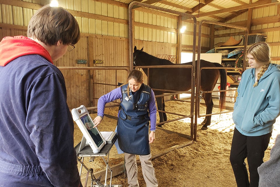 A veterinarian at a pet clinic uses an ultrasound machine on a horse in a well-lit barn, while two people observe. The horse stands calmly in its stall, surrounded by wooden walls and a dirt floor.