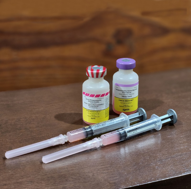Two vials of medication and two loaded syringes sit on a brown wooden surface, ready for use by a veterinarian. The vials feature colorful caps and labels, while the syringes hold a pinkish liquid. The background is softly blurred.
