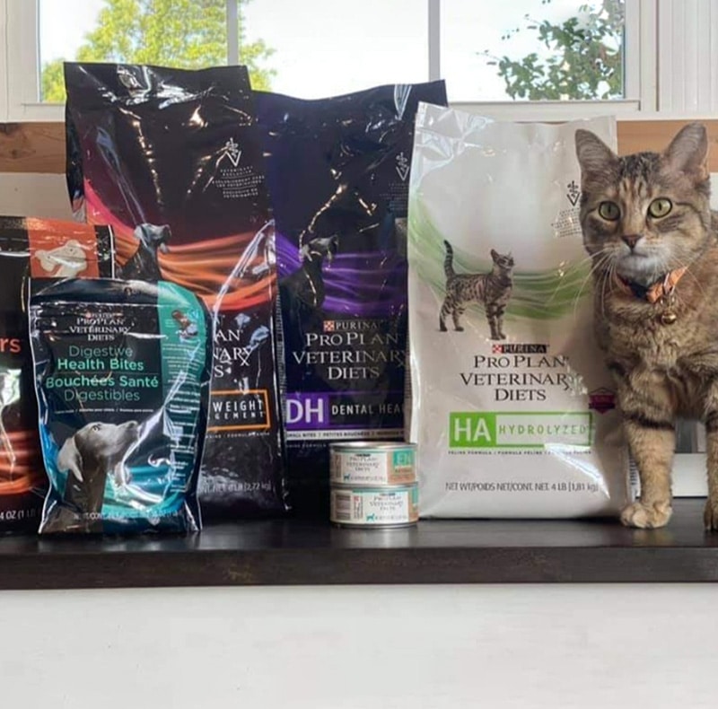 A tabby cat stands on a counter at the pet clinic next to various bags of Purina Pro Plan Veterinary Diets cat food and several cans of wet cat food, all arranged by a window.
