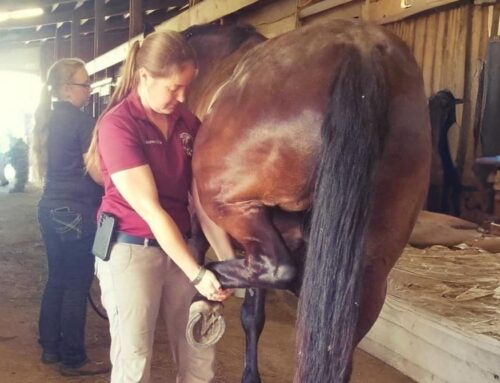 Don’t Skip the Purchase Exam