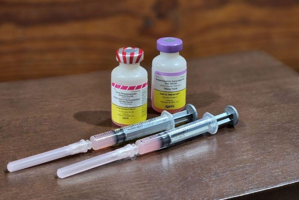 Two medication vials and two filled syringes with pink caps are placed on a wooden surface. The vials have colorful labels, one with a red-striped cap and the other with a purple cap.
