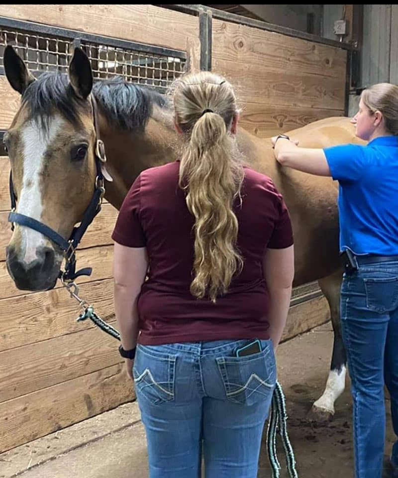 Two women stand with a tan horse in a stable. One woman in a blue shirt examines or treats the horse’s neck, while the other, in a maroon shirt, holds the horse’s lead rope. The horse faces the camera.