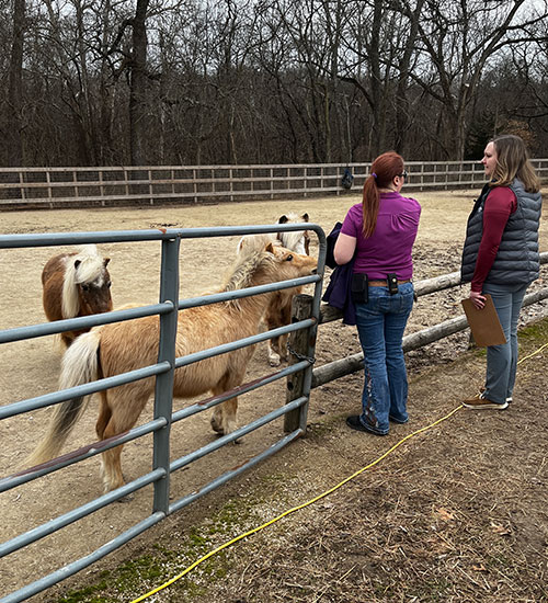 Two women stand by a metal fence at an outdoor pen, talking and looking at small ponies on the other side. One woman holds a clipboard; bare trees and a dirt ground are in the background.