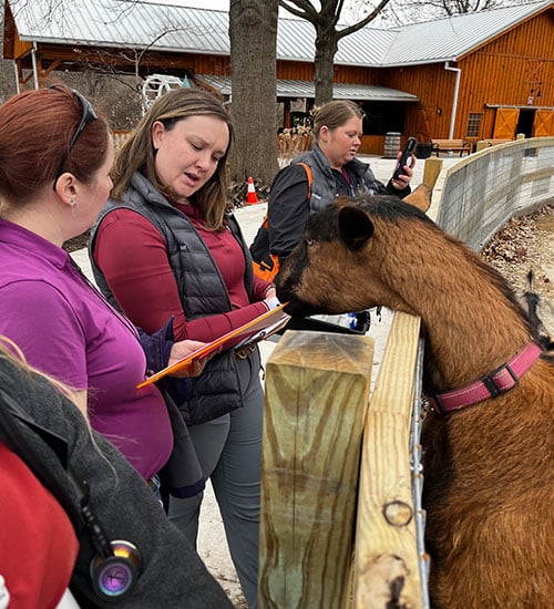 Three women are standing by a wooden fence, interacting with a brown goat. One woman is writing on a clipboard, while another takes a photo. Barns and leafless trees are in the background.