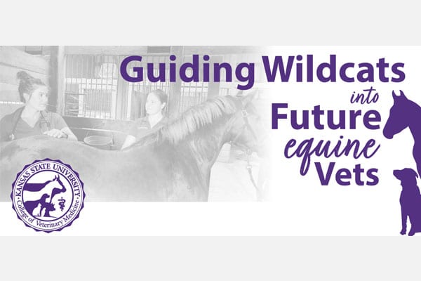 Two people stand beside a horse in a stable. Text reads: "Guiding Wildcats into Future equine Vets." Kansas State University College of Veterinary Medicine logo and a horse silhouette are also shown.