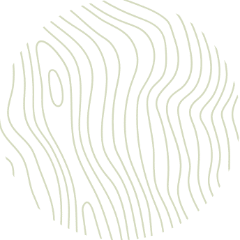 A circular pattern of thin, wavy, light green lines on a white background, resembling abstract wood grain or topographic lines—ideal for a veterinarian office or pet clinic seeking a calming, nature-inspired design.